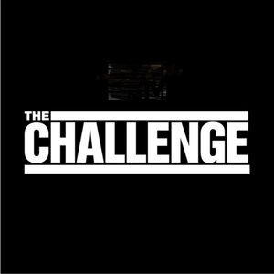The Challenge Seasons 1-10 & 33-35